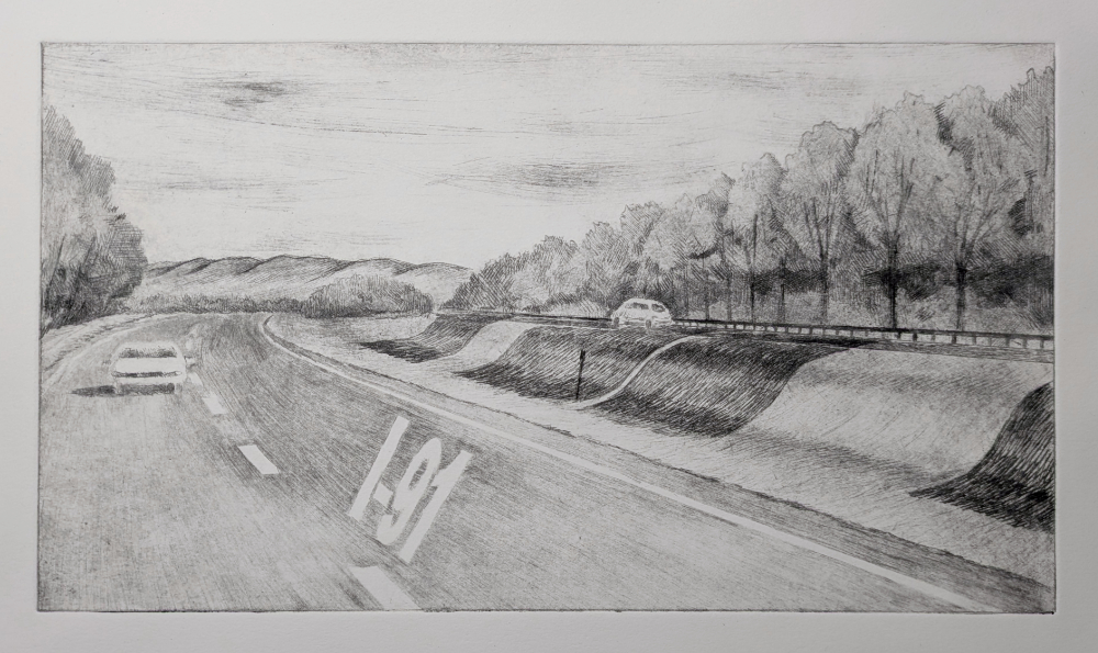 This Was The Backyard 1