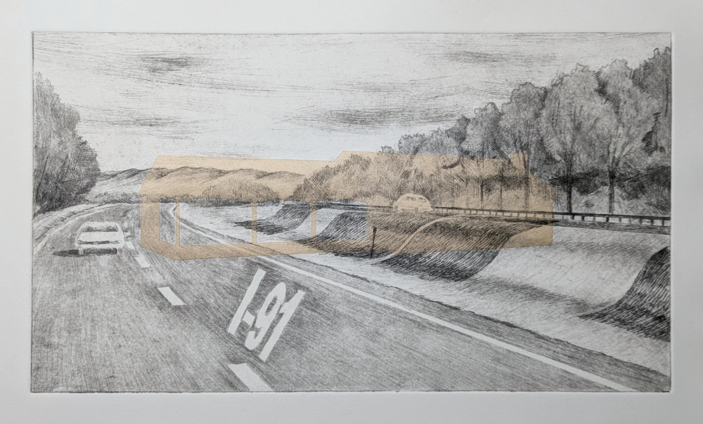 This Was The Backyard 2